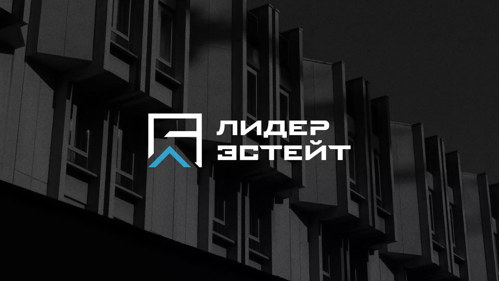 Разработка логотипа агентства недвижимости «Лидер Эстейт» в Нарьян-Маре